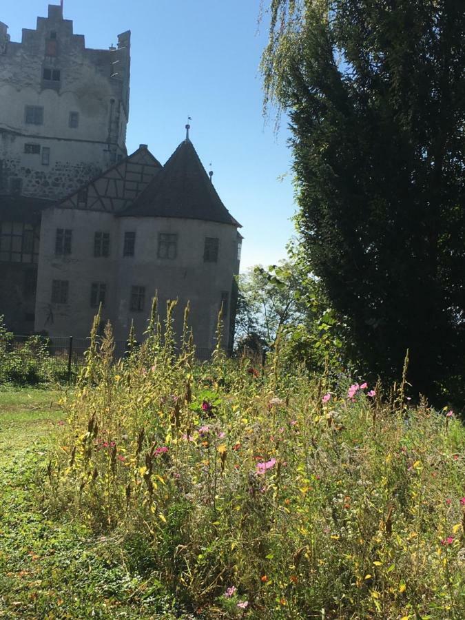 Ferienwohnungen Greitmann Meersburg Eksteriør bilde